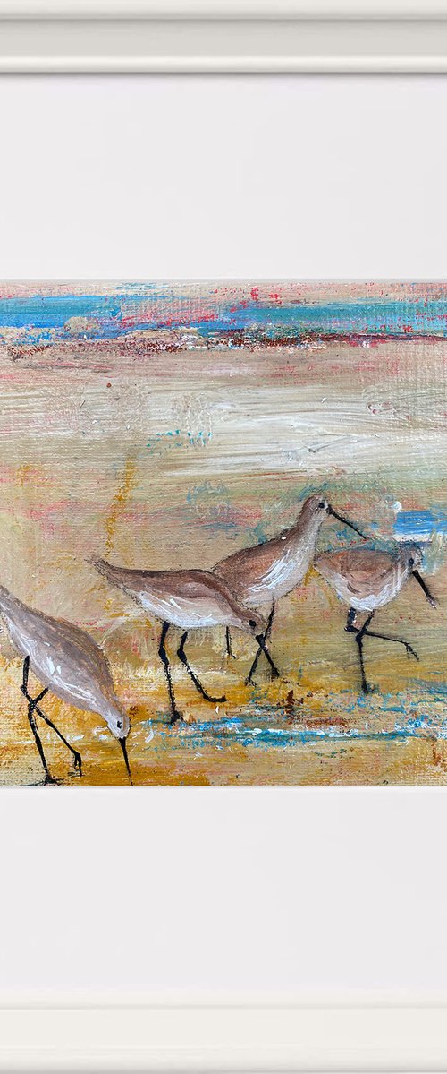 Wading Birds on the beach framed by Teresa Tanner