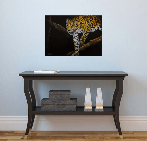 Panthera pardus