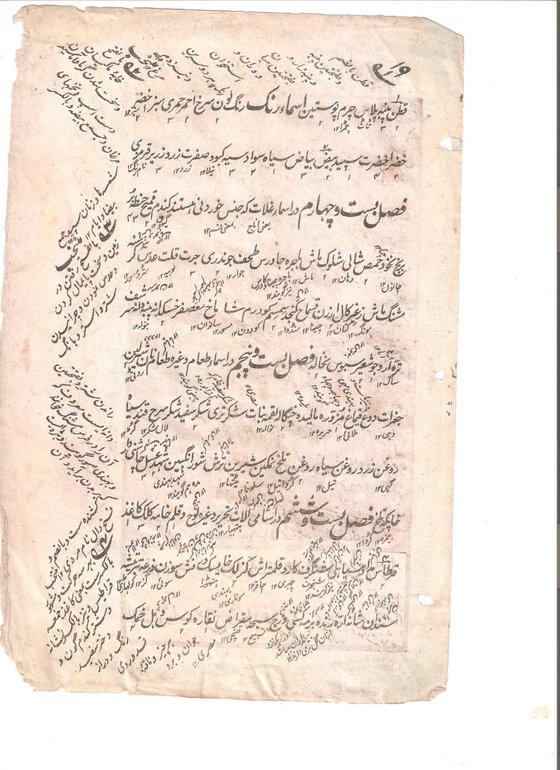 Antique Banyan Tree with Persian Calligraphy