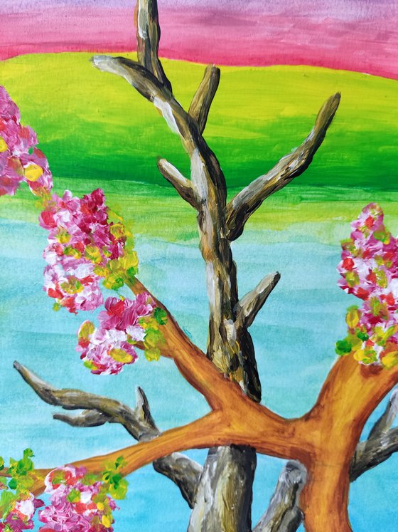 Blossomnig cherry trees