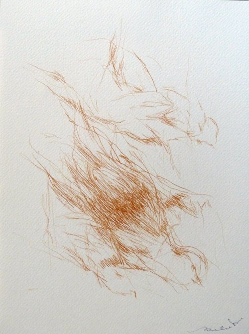 The Birds C20-1, 32x24 cm by Frederic Belaubre