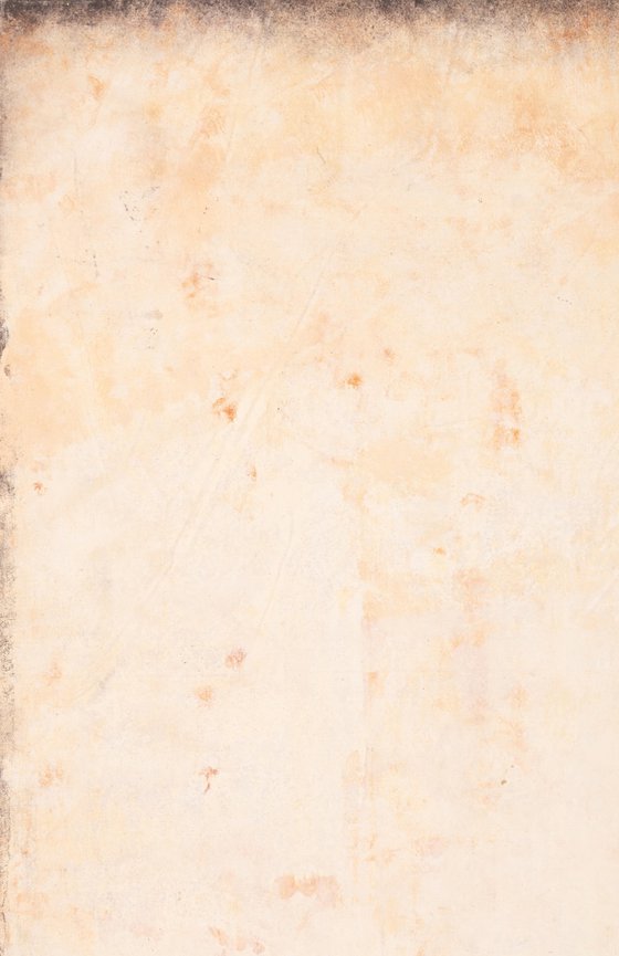 No. 24-50 (160 x 220 cm )