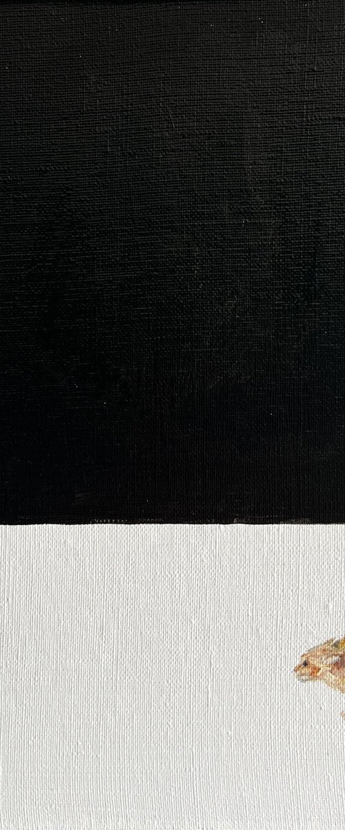 Minimalist Escape Cat by VICTO