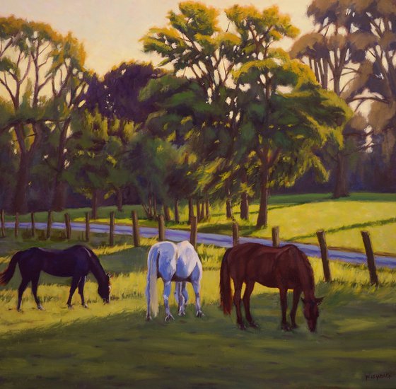 Horses Grazing