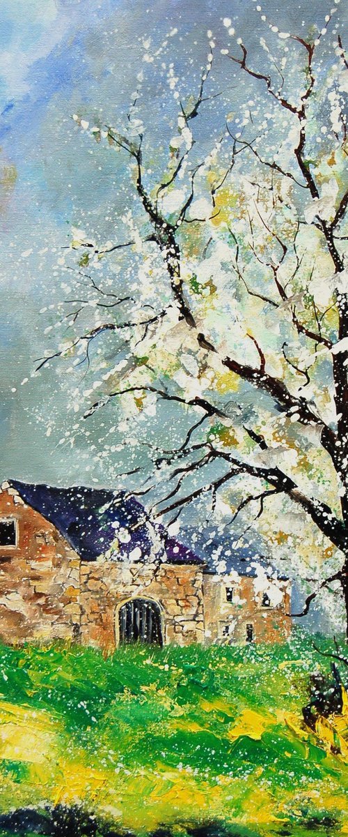 Spring near my home by Pol Henry Ledent