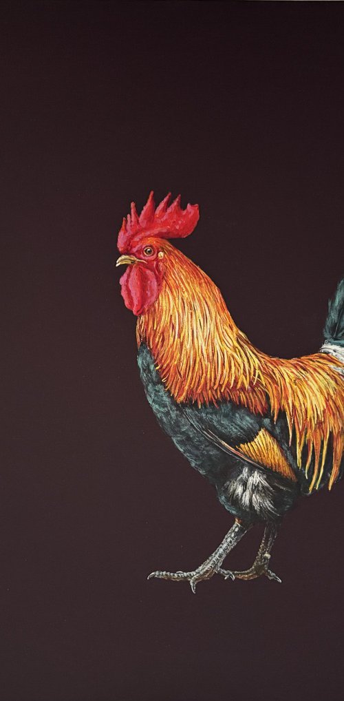 Lonely cock by Lena Smirnova