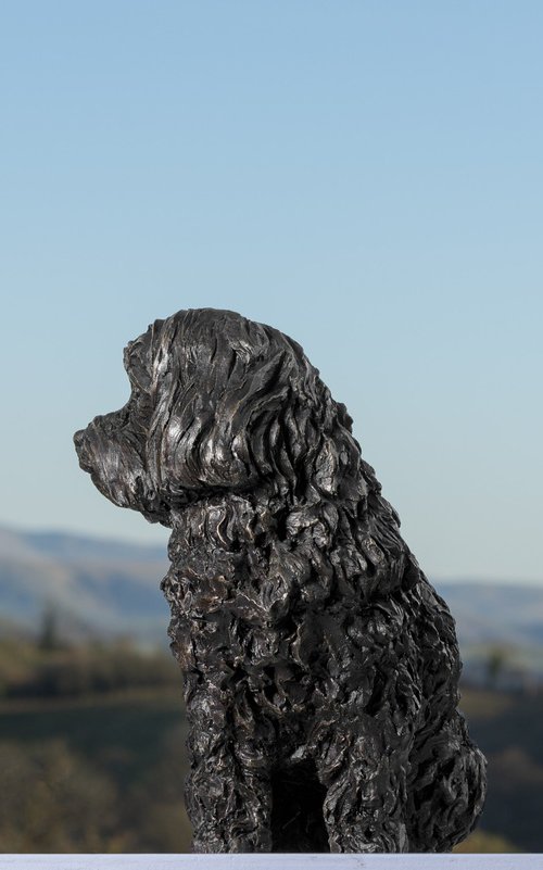 Maltese Terrier Bronze Resin by Tanya Russell