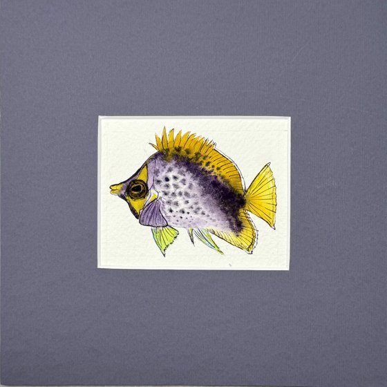 Exotic purple yellow fish