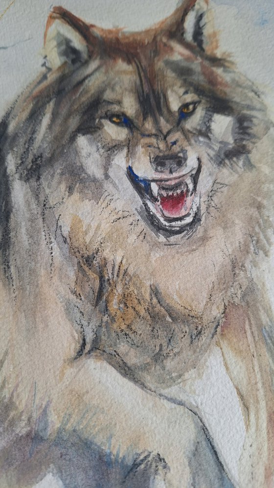 Wolf Run
