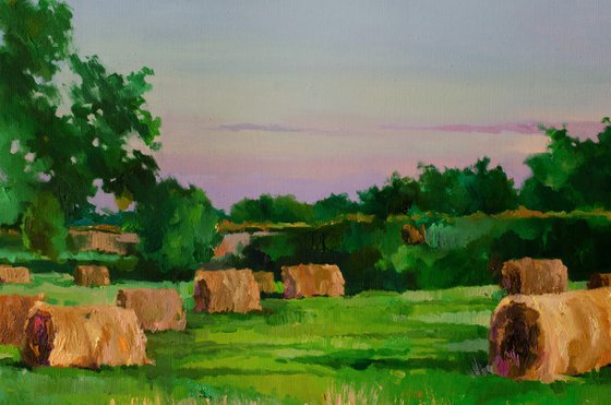 A Cat Among the Hay Bales