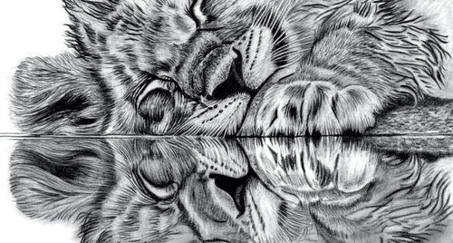 Artwork by Paul Stowe
