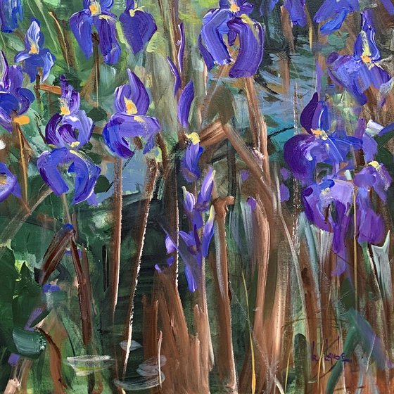 Blue irises