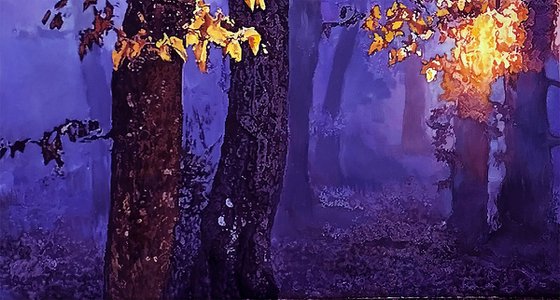 AWAKENING SHADOWS