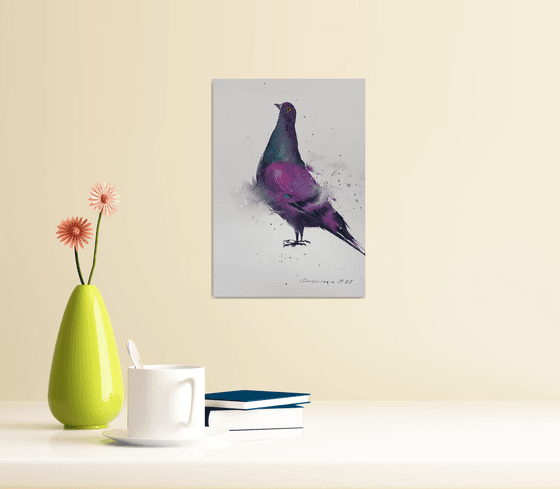 The Vibrant Pigeon