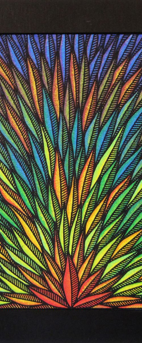 Tropical by Jonathan Pradillon