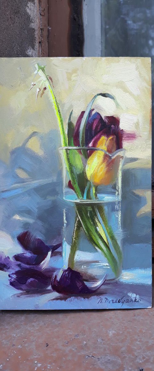 Shadows game by Nataly Derevyanko