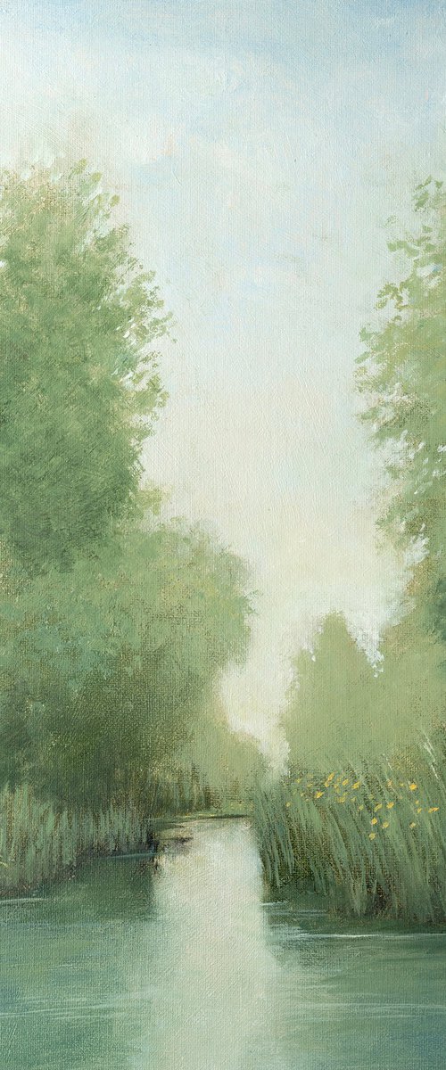 Spring Wetlands 260716 by Don Bishop