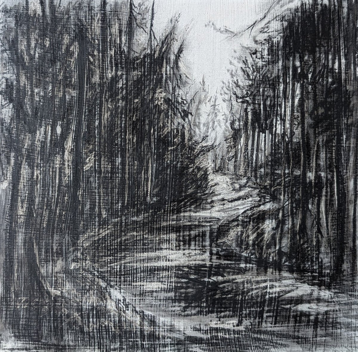 Photorealistic Landscape Charcoal Drawing By Sophie Adair, 12 X 12", One Day In Autumn, Original Artwork