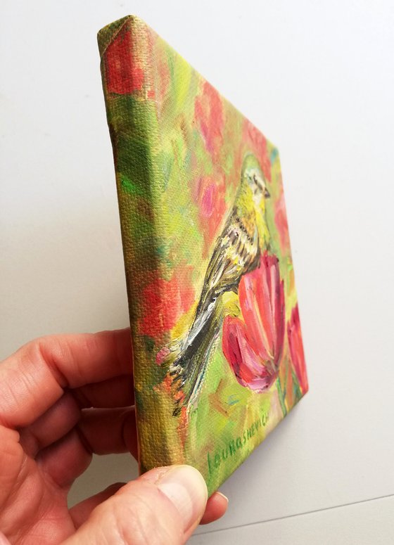 Birds' Stories
