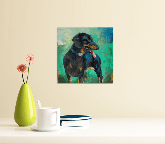 dachshund portrait in small format