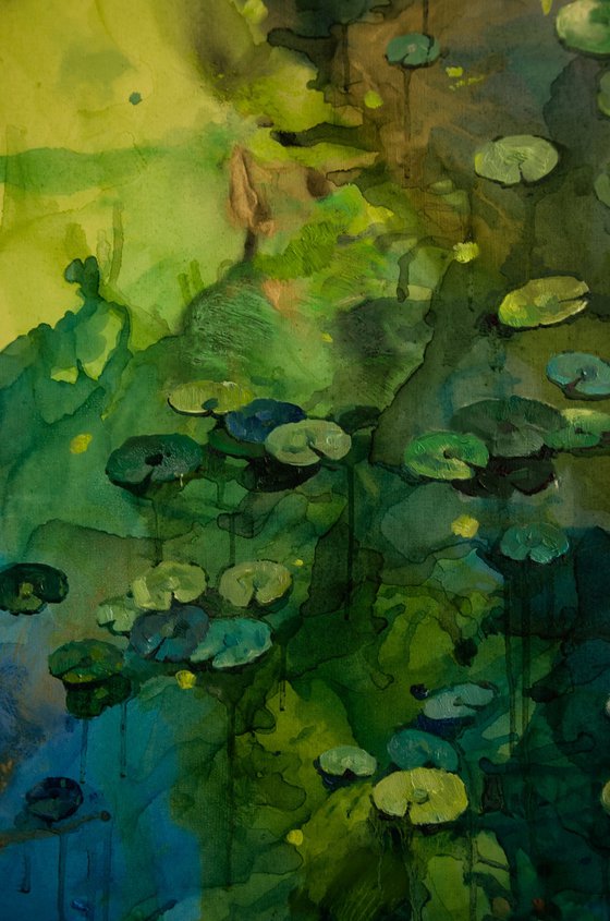Lily pond. Glimmering