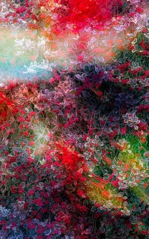 The power of dreams by Viet Ha Tran