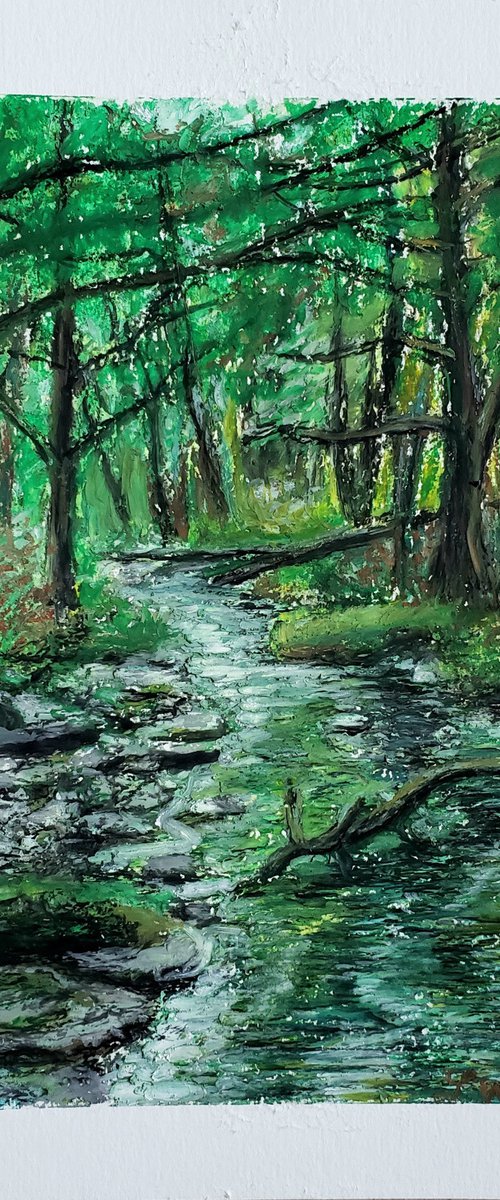 Bushkill Creek 2 by Linda Wallentine