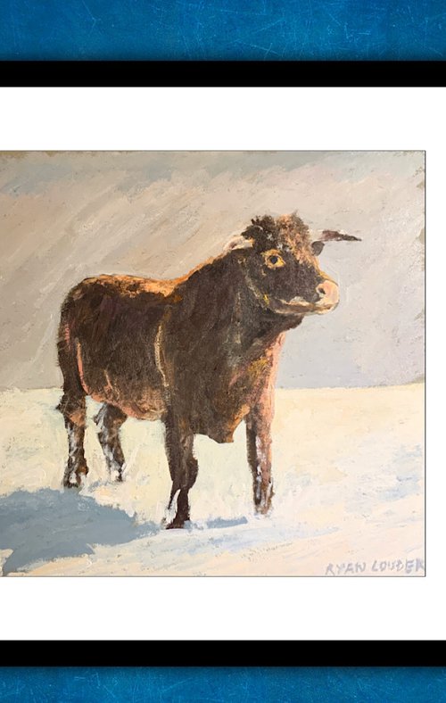 Bull On A Winters Day by Ryan  Louder