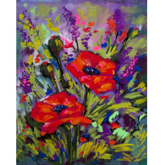 Red poppies