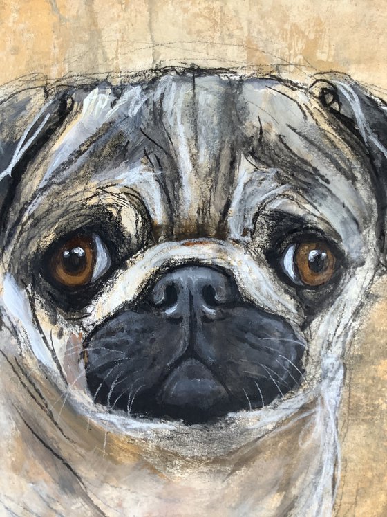 PUG