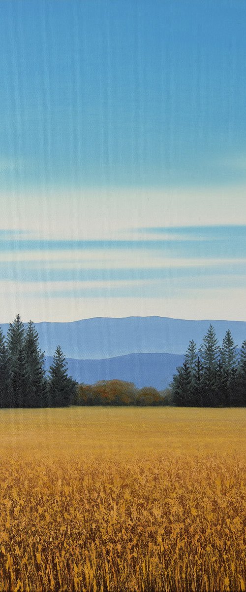 Summer Scene - Blue Sky by Suzanne Vaughan