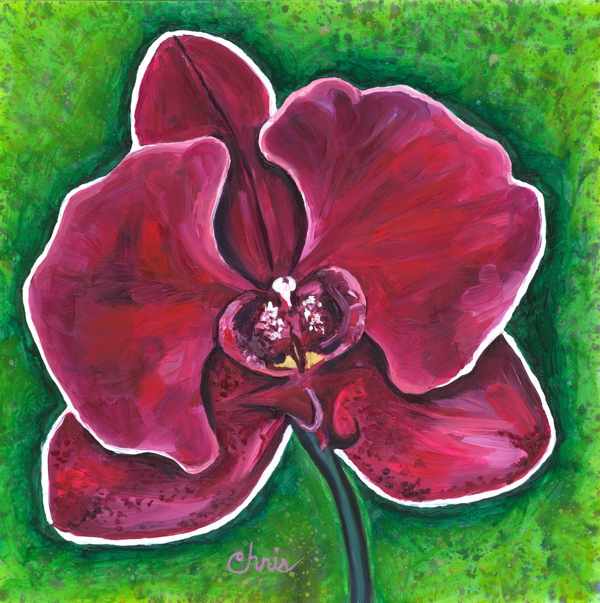 Magenta Orchid Flower by Christina M Plichta