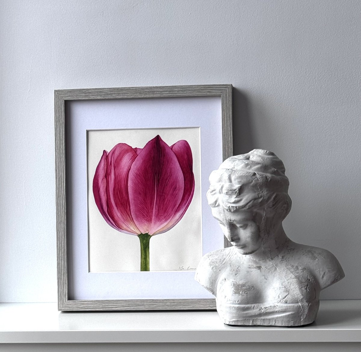 Photorealistic Botanical Watercolour By Irsa Ervin, 12 X 15, Pink Tulip, Original Artwork