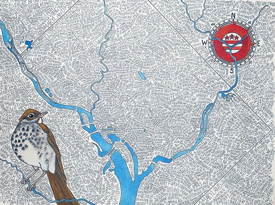 Washington DC Word Map