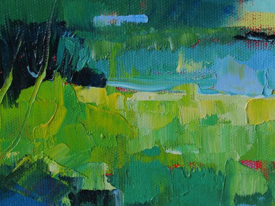 Water meadow