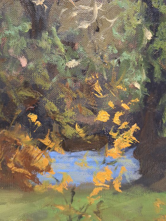 Autumnal Trees By The River