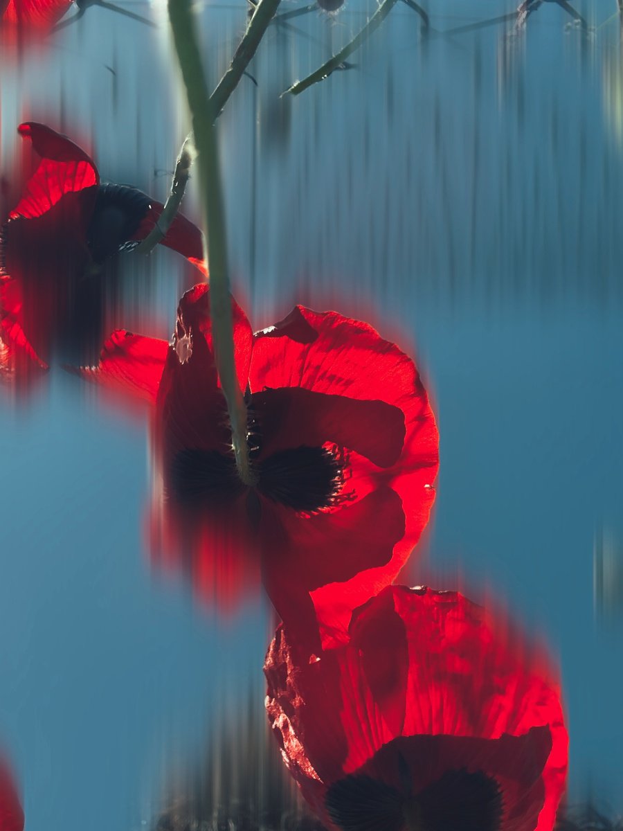 Photorealistic Photograph , Spring Prelude By Nektaria Thalia, 20 X 24, Artwork For Sale On Artfinder