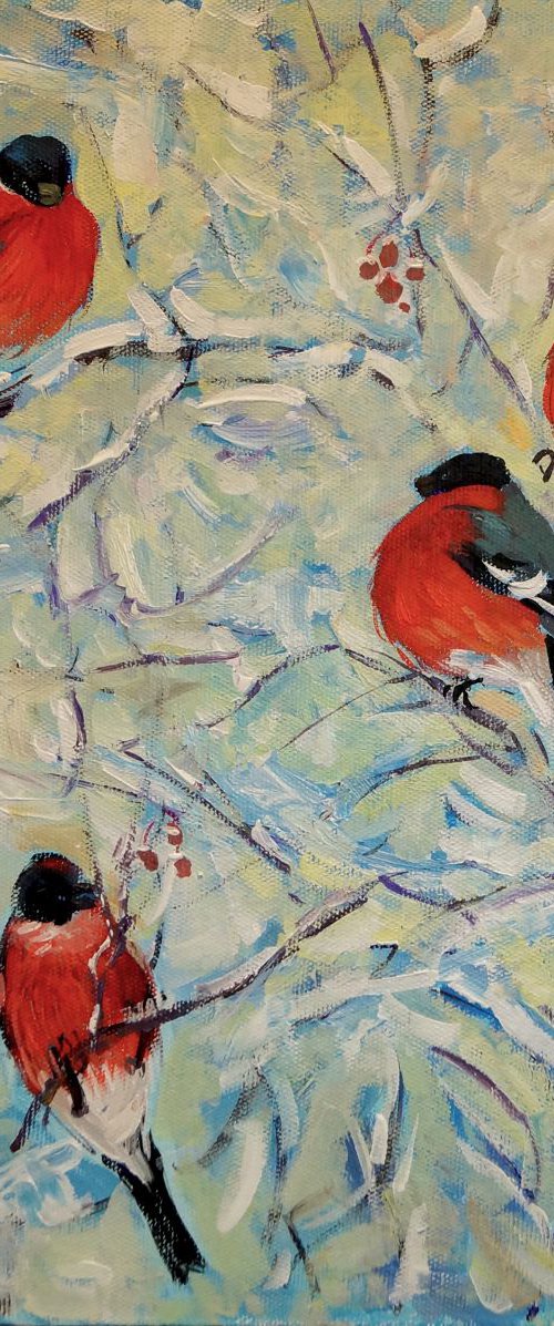 bullfinches by Yuliia Pastukhova