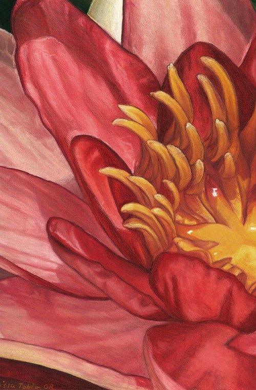 Glorious by Melissa Tobia