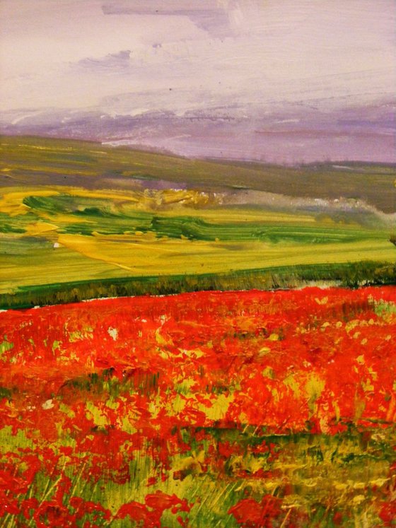 "The field of wild poppies"