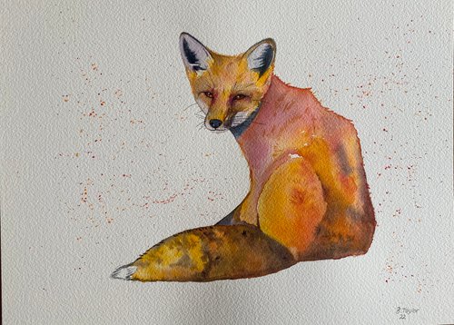 The curious fox watercolour painting. by Bethany Taylor