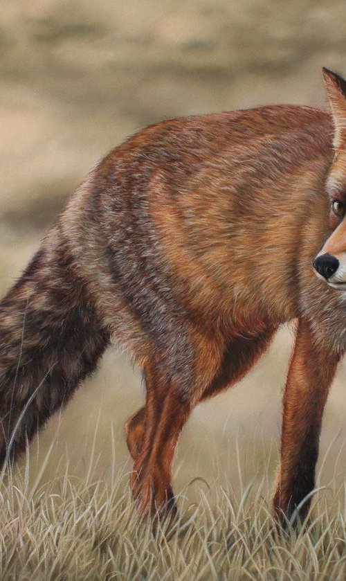 Hunting fox by Tatjana Bril