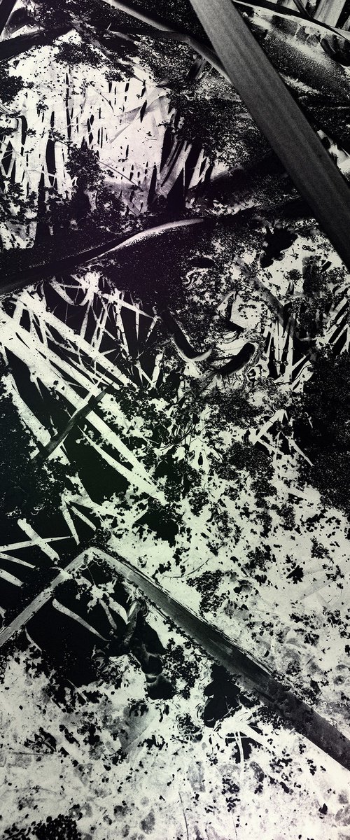 Timeless Shadows 5. by Petr Strnad