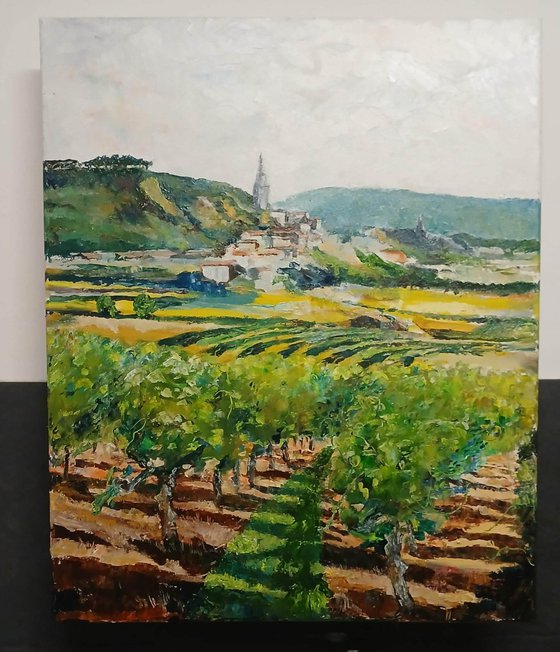 les vignes sous Bonnieux