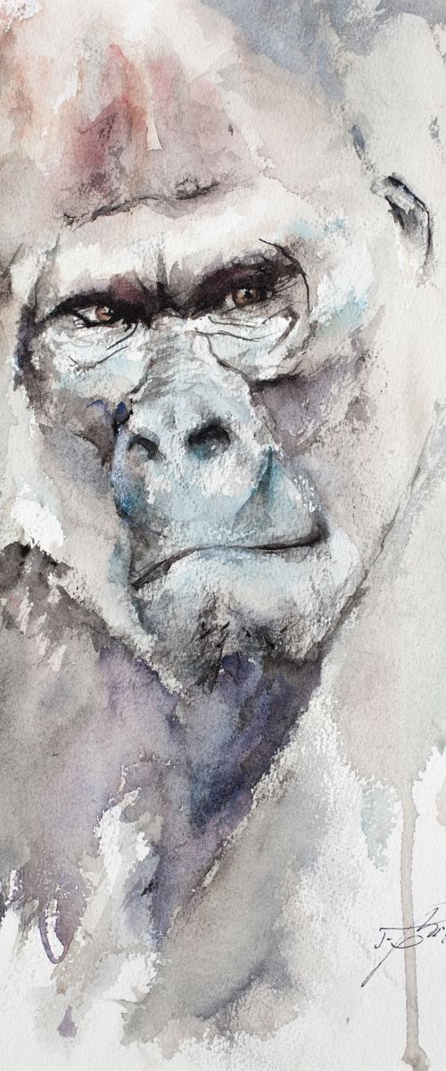 Kevin the Silverback Gorilla by Tomasz Mikutel
