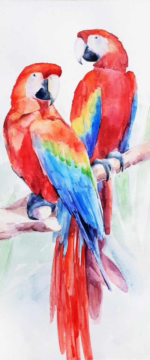 Couple of birds Parrots by Anna Shchapova