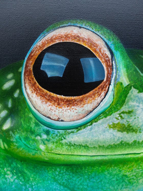 Green frog art, hyperrealism,  hyperrealistic artwork,  realism acrylic painting