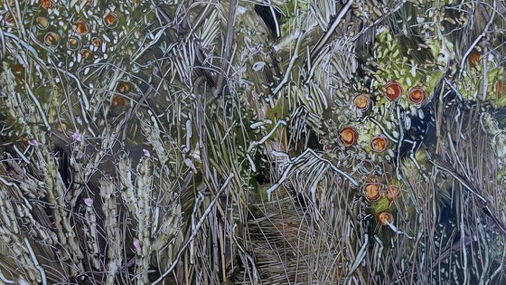 An Abandoned Spanish Orange Orcha