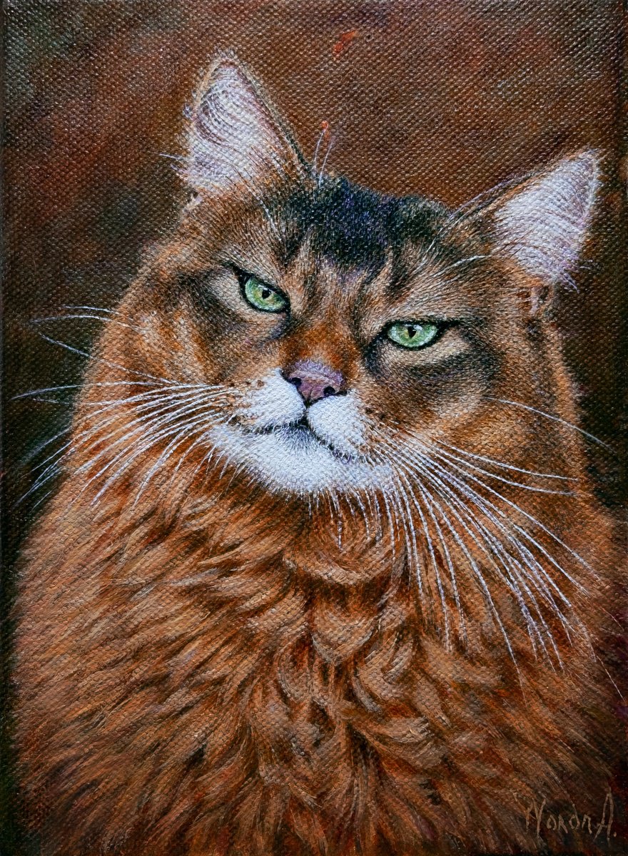 Photorealistic Animal Oil Painting By Anastasia Woron, 6 X 9, The Green Eyed Cat, Original Artwork