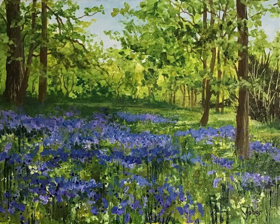 Bluebell Woods